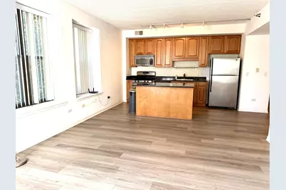 1250 S Indiana Avenue #308, Chicago, IL 60605 - Photo 4