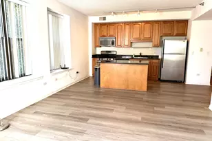 1250 S Indiana Ave, Chicago, IL 60605 - Photo 4