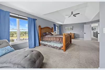 22384 Mallow Drive, Frankfort, IL 60423 - Photo 22