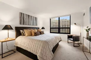 401 E Ontario St, Chicago, IL 60611 - Photo 10