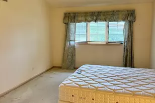 8821 Bluebird Dr, Tinley Park, IL 60487 - Photo 14