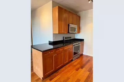 1250 S Indiana Avenue #1303, Chicago, IL 60605 - Photo 8
