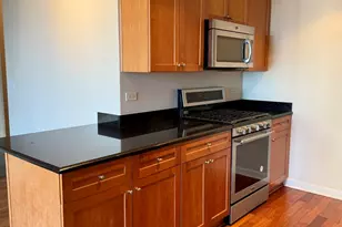 1250 S Indiana Ave, Chicago, IL 60605 - Photo 8