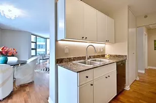 401 E Ontario St, Chicago, IL 60611 - Photo 14