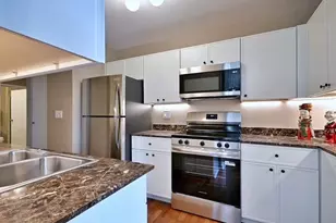 401 E Ontario St, Chicago, IL 60611 - Photo 12