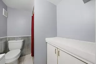 2813 S Shields Ave, Chicago, IL 60616 - Photo 38