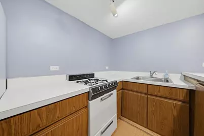 2813 S Shields Avenue, Chicago, IL 60616 - Photo 28