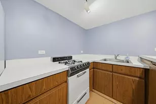 2813 S Shields Ave, Chicago, IL 60616 - Photo 28