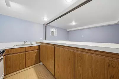2813 S Shields Avenue, Chicago, IL 60616 - Photo 30