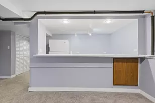 2813 S Shields Ave, Chicago, IL 60616 - Photo 24