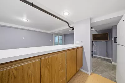 2813 S Shields Avenue, Chicago, IL 60616 - Photo 26