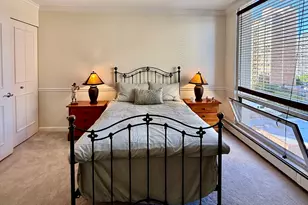 100 E Bellevue St, Chicago, IL 60611 - Photo 22