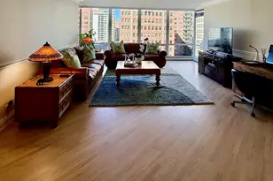 100 E Bellevue St, Chicago, IL 60611 - Photo 6
