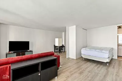 900 N Lake Shore Drive #1011, Chicago, IL 60611 - Photo 4