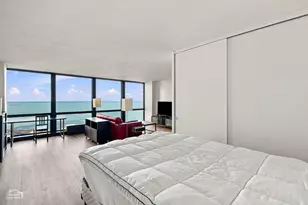 900 N Lake Shore Dr, Chicago, IL 60611 - Photo 6