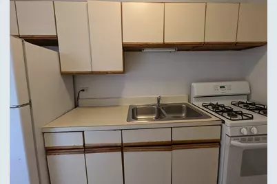1532 N Kedzie Avenue #2E, Chicago, IL 60651 - Photo 8
