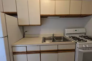 1532 N Kedzie Ave, Chicago, IL 60651 - Photo 8