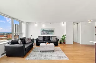 1460 N Sandburg Terrace, Chicago, IL 60610 - Photo 12