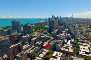 450 W Surf St, Chicago, IL 60657 - Photo 32