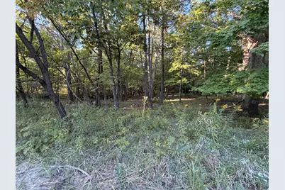 Lot 55 Eagle Chase Drive, Seneca, IL 61360 - Photo 6