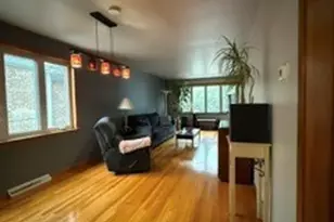 9959 S Escanaba Ave, Chicago, IL 60617 - Photo 4