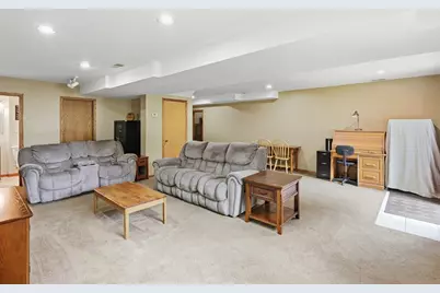 341 W Wood Avenue, Peotone, IL 60468 - Photo 20