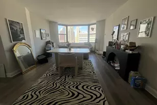 535 N Michigan Ave, Chicago, IL 60611 - Photo 10