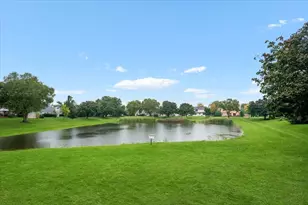 169 Park Meadow Ln, Bolingbrook, IL 60440 - Photo 28