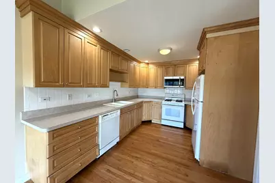 266 S Prospect Avenue, Clarendon Hills, IL 60514 - Photo 6
