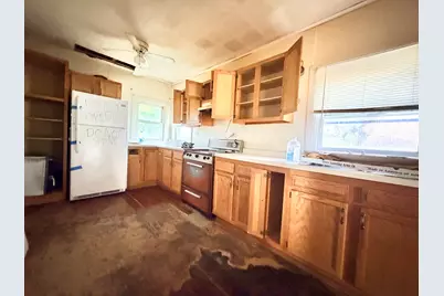4407 Cleveland Street, Kangley, IL 61364 - Photo 4