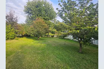 211 W Liberty Street, Joy, IL 61260 - Photo 4