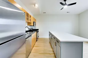 519 S Maplewood Ave, Chicago, IL 60612 - Photo 12