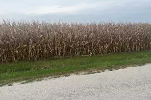 1293 County Rd 2400 E, Saint John, IL 61873 - Photo 1