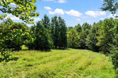 7202 River Road, Iuka, IL 62849 - Photo 50