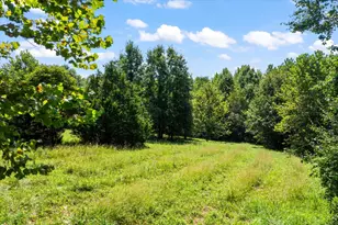 7202 River Rd, Iuka, IL 62849 - Photo 50