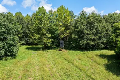 7202 River Road, Iuka, IL 62849 - Photo 42