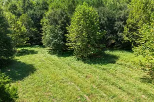7202 River Rd, Iuka, IL 62849 - Photo 40
