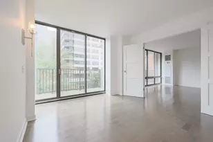 1516 N State Pkwy, Chicago, IL 60610 - Photo 16