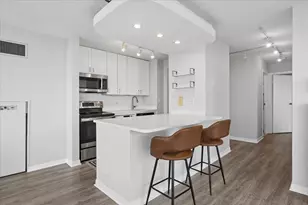 111 W Maple St, Chicago, IL 60610 - Photo 6