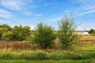 667 Anchorage Ct, Pingree Grove, IL 60140 - Photo 36