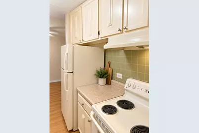 16 E Old Willow Road #304S, Prospect Heights, IL 60070 - Photo 20