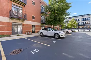 944 W 15th Pl, Chicago, IL 60608 - Photo 16