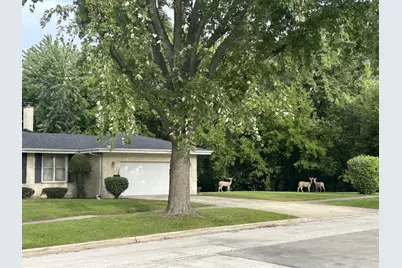1038 S Sunset Avenue, Elmhurst, IL 60126 - Photo 28