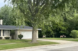 1038 S Sunset Ave, Elmhurst, IL 60126 - Photo 28