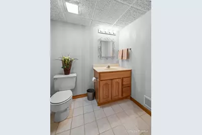 2917 Pleasant Drive, McHenry, IL 60051 - Photo 46