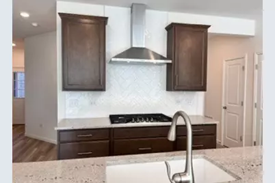 729 Dropseed Lane #75002, Bolingbrook, IL 60490 - Photo 4