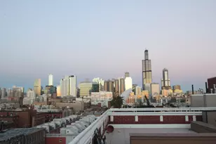 35 S Racine Ave, Chicago, IL 60607 - Photo 24