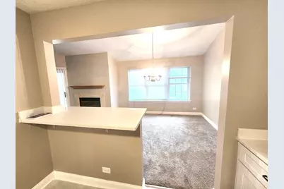 1001 Butternut Lane #C, Mount Prospect, IL 60056 - Photo 8