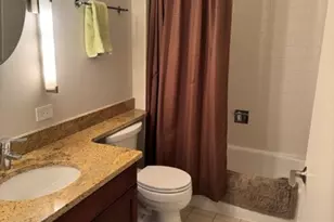 445 E North Water St, Chicago, IL 60611 - Photo 10