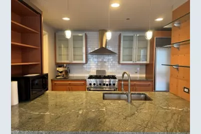 445 E North Water Street #1004, Chicago, IL 60611 - Photo 6